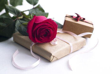 beautiful pink rose, gift boxes on white background. Valentine's Day gift. postcard for February 14.
