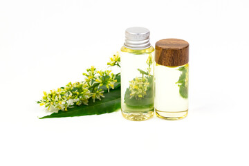 neem oil in bottle and neem leaf with flower isolate on white background.