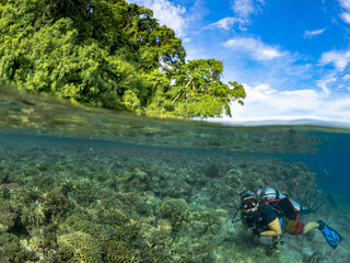 Above and below shots of scuba diving in Papua New guinea