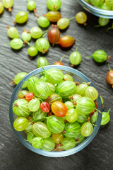 Ripe gooseberry in a glass plate, place for text,  summer harvest of berries