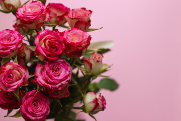 Valentine's Day, Mother's Day greeting card. Beautiful bouquet of roses on a blurred pink background . Valentine's Day and love concept. Selective focus, close-up