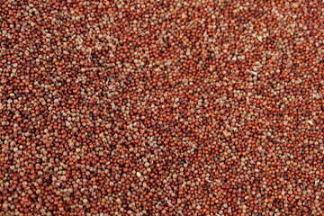 Pile of red millets also known as ragi.