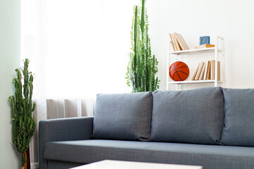 Grey sofa in modern living room with plants and rack