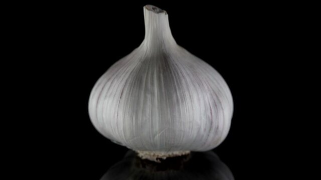 bulb of garlic is rotating on black background in studio, closeup view, spice and food flavoring