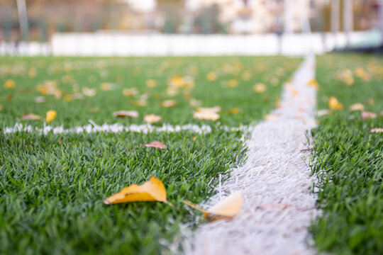 Artificial turf football field with yellow autumn leaves, good sunny weather and outdoor sports activities concept