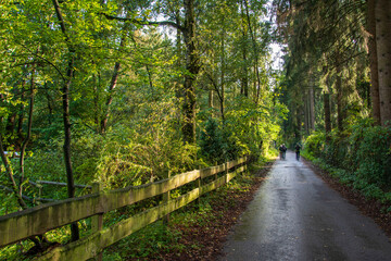 Wanderung im Teutoburger Wald bei Oerlinghausen auf der Ochsentour.