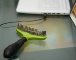 hair stick in pet comb