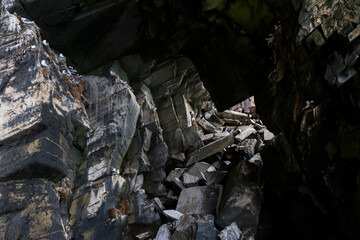 Black-legged Kittiwake, Drieteenmeeuw, Rissa tridactyla
