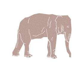 african elephant isolated on white