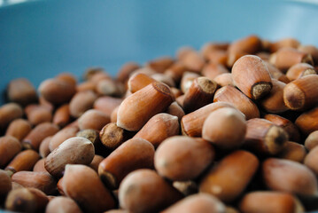 Ripe hazelnuts in a jar on the table.