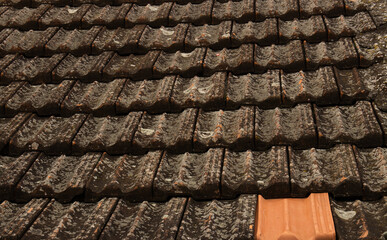 old roof tiles with one different tile