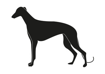 Icono negro de perro de raza galgo.