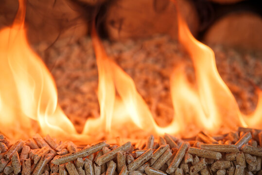 Wood-Pellet Images – Browse 383 Stock Photos, Vectors, and Video | Adobe  Stock
