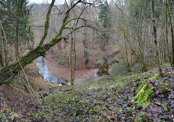 Herbst-Wanderung durchs Mühltal