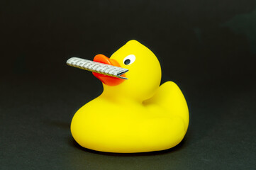 hoax symbol with rubber duck and newspapers. German Zeitungsente