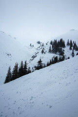 Fototapeta na wymiar Winter landscape in the mountain with snow balls