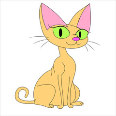 cute cat  sphync with big green eyes