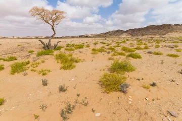 Foto op Canvas Landschap van de centrale woestijn van Oman © AGAMI