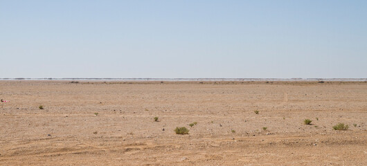 Fototapeta na wymiar Landscape of central desert of Oman