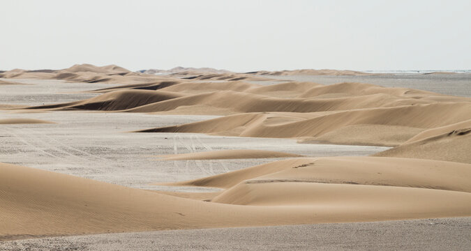 Landscape of central desert of Oman