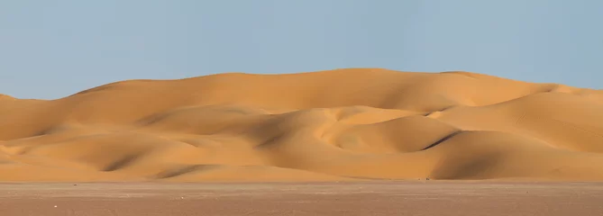 Deurstickers Landscape of central desert of Oman © AGAMI