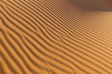 Foto op Aluminium Landscape of central desert of Oman © AGAMI