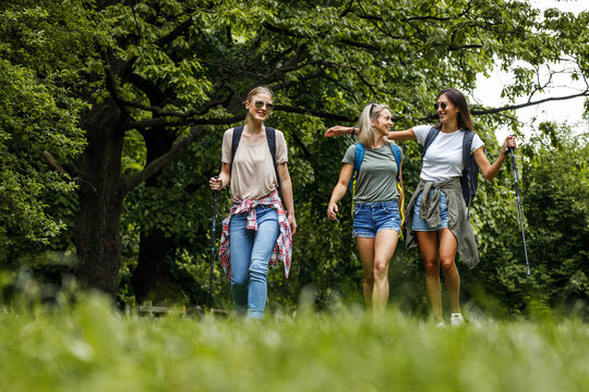 Group of female friends hiking in nature.They walking trough forest and joying in fresh air.	
