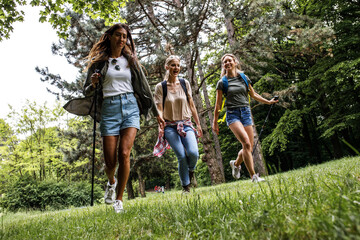 Fototapeta premium Group of female friends hiking in nature.They walking trough forest and joying in fresh air. 