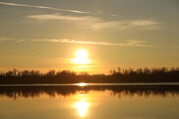 Obraz premium Dark silhouette of trees growing on the river bank in the rays of the evening sunset. Reflection in water. Calm mood to simulate the beauty of nature. A beautiful landscape conducive to reflection