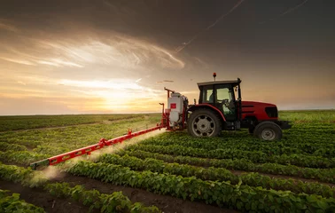 Photo sur Plexiglas Tracteur Tractor spraying soy field in sunset.