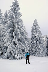 Neige