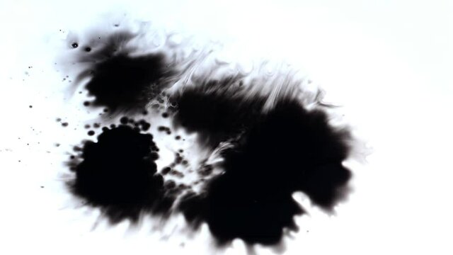 Stock footage of ink blot vector