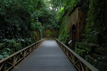 Obraz premium Japanese natural island, Sarushima island, is used to be a fortress. A uninhabited island in Tokyo bay, Japan.