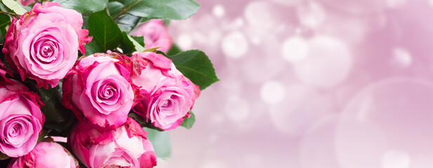 Obraz na płótnie Canvas pink flowers close up