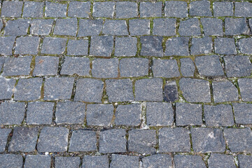 stone path paving stones with a blurred background