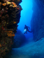 Naklejka na ściany i meble scuba divers exploring the reefs and rocks ocean scenery topography underwater landscape