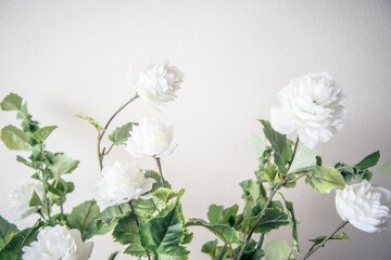 bouquet of roses on white