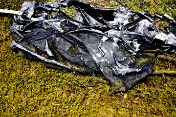 plastic bag at the bottom of the lake environment