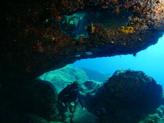 scuba divers exploring the reefs and  rocks ocean scenery topography underwater landscape
