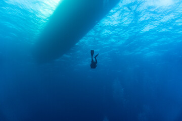 diving yacht bottom view from under the water