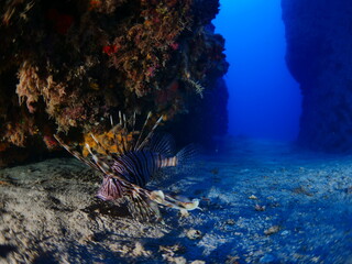 cave scenery underwater cave dive diving in caves ocean topography landscape scenery
