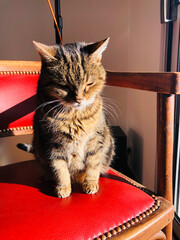 Louna