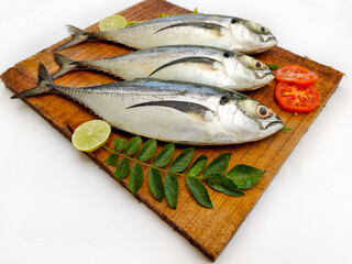 Fresh Finletted Mackerel Fish (Torpedo Scad) decorated with herbs and