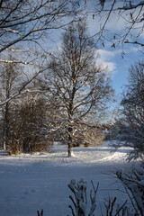 Winterlandschaft