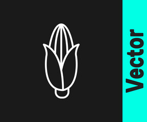 White line Corn icon isolated on black background. Vector Illustration.