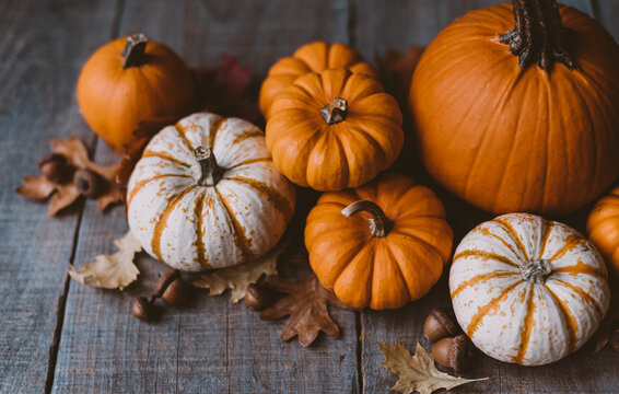 High angle view of orange and white pumpkins on rustic wooden table. - Powered by Adobe