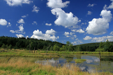 Backwaters of the Jasiolka river in Jasiel - former and abandoned village in Low Beskids, Poland