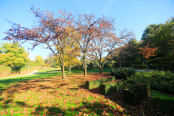 Obraz premium The Wertwiesen Park in Heilbronn, Germany, Europe