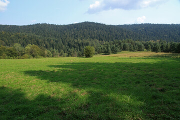 Fototapeta premium Landscape of Jawornik former and abandoned village in Low Beskids, Poland