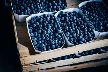 close up of baskets with blueberrys on market stall